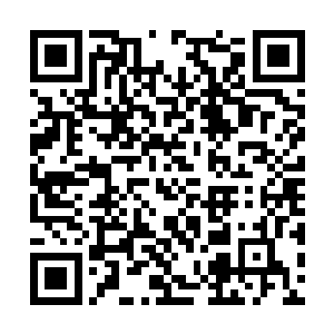 只能用低声的咆哮来表达他此刻不安和愤怒的心情二维码生成