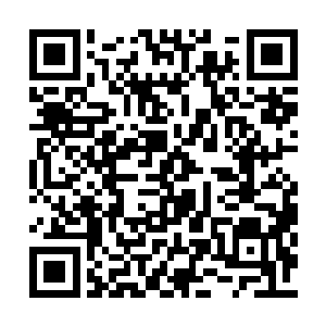只能用来对付一切能量层次与实力弱于他的存在二维码生成
