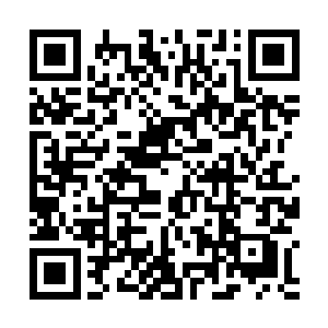 只能看着那小女孩目光认真的在打开的盒子里巡视一番二维码生成