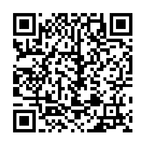 只能眼睁睁看着慕重海召出的冰风暴向自己二人吞噬而来二维码生成