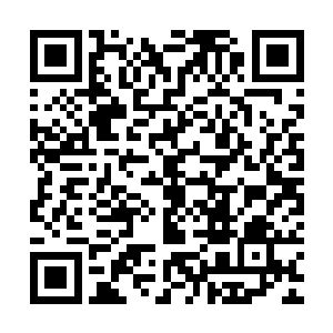 只能隐隐约约在那紧抿的唇瓣和紧绷的下巴感受到他汹涌的情绪二维码生成