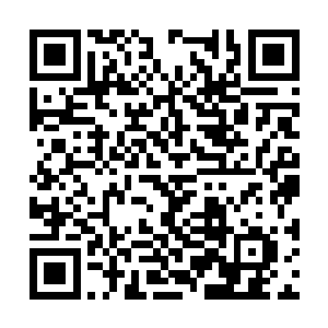 只要一想到以前曾经不止一次在蝰蛇之中吃过苦头二维码生成