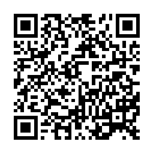 只要一想到小无伤背后那个异常疼爱自家女儿的爹二维码生成