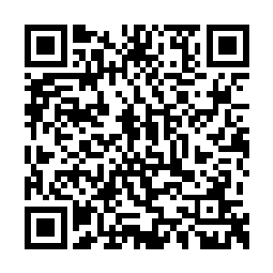 只要不是傻子都能听明白花爷的提醒是什么意思二维码生成