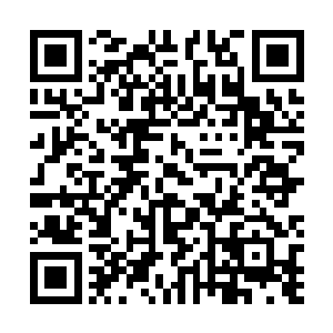 只要他们能把他们几所学校里的那几个代表从学校里赶走二维码生成