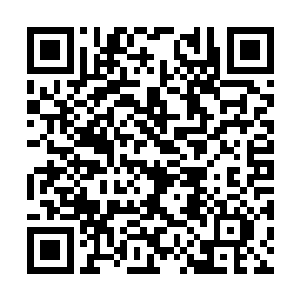 只要他选择了打开这结界自己便可以放过他不是吗二维码生成