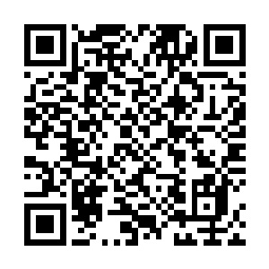 只要你们放了我……我会给你们很多钱的……求求你们二维码生成