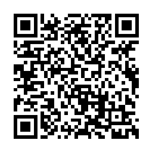 只要你信我不会在大阵禁制失效时会对你们动手二维码生成