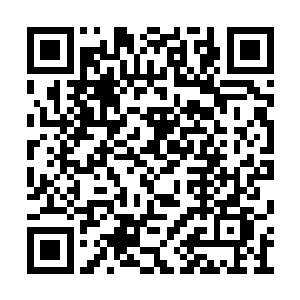 只要在东京稍微有点门路的纨绔都知道一个事实二维码生成