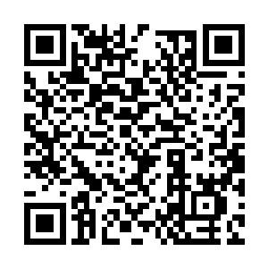 只要我们有足够的实力绝对不怕没有精灵宝钻可用二维码生成