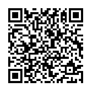 只要等火把熄灭了这只千足虫就会对他们发起攻击二维码生成