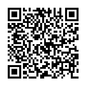 只要能够见到你哪怕是一世只有一天的时间我都十分的高兴二维码生成