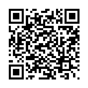 只要能带着你们满山跑就是最好的了二维码生成