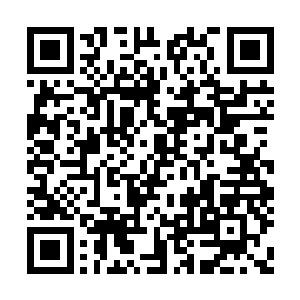 只要自己还活着　总有办法把这个仇给报回來的二维码生成