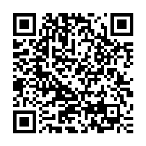 只要顺着这个通道一直往前走就可以到达风域的那个小标点了二维码生成