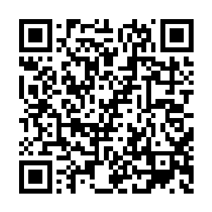 只见一块手指大小的冰凌正在他瞳孔中飞速放大二维码生成