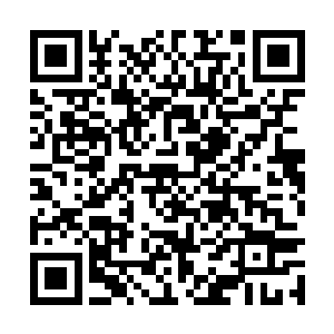 只见一条幽深的通道出现在了龙傲天几个人的面前二维码生成