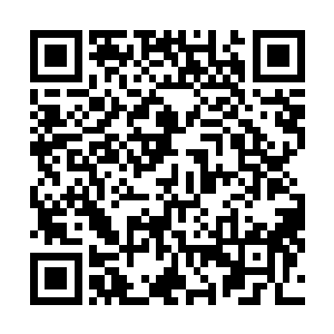 只见一百多只血赤蜂分别叼着一株九莲草飞到冷轩的上方二维码生成