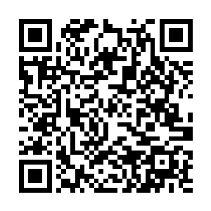只见他掌心内放置着的竟是两只米粒大小的小小飞虫二维码生成