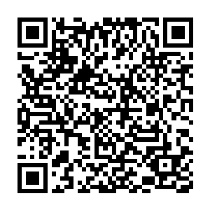 只见原本那一坨不动的腐肉之中忽然渗透除了一群密密麻麻的小虫子二维码生成