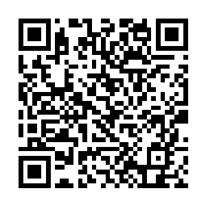 只见后方人马中不少人取出了星铃在那不知跟谁联系二维码生成