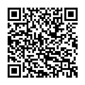 只见回来的黑衣人已跪在地上向房间内之人禀告二维码生成