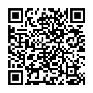 只见坑的一角处露着一个半边桌子大小的黑幽幽的洞口二维码生成