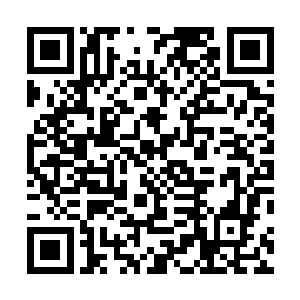 只见小王子原本已经有些不耐的双眸又是再次闪亮了起来二维码生成