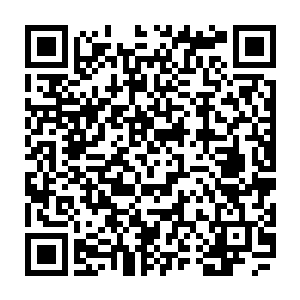 只见就在楚旬利用厚土珠和曼陀罗华之盾的力量勉强挡住一贫真人攻击的时候二维码生成