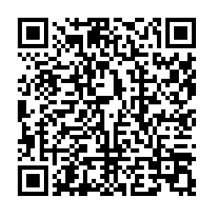 只见熊孩子那原本有些呆滞的脸上也陡然浮现出了一种难以言喻的痛苦之色二维码生成