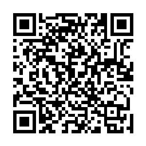 只见紫陌的师兄赤血正如一只无头苍蝇在白雾中横冲直撞二维码生成