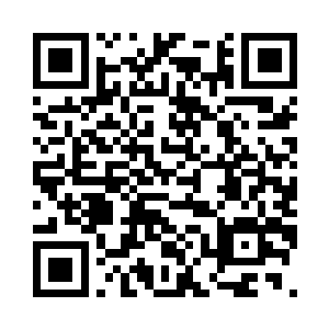 只见结界内部很多精灵都聚集在那里二维码生成