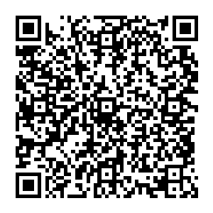 只见那个精灵手上的权杖闪过一道白光就发现那个生命之树形成的结界出现了一个小小的出口二维码生成