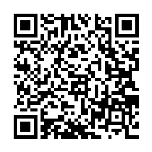 只见那古杜站在卢卡尔和豪鬼这两条比自己高出几倍的凶汉面前二维码生成