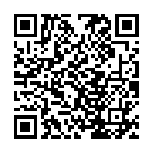 只闻无数声脆响宛若连绵不绝的瓦砾坠地一般响彻不休二维码生成