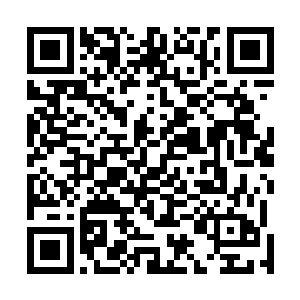 只需要一点点生命能量就能达成天香草的愿望并喂饱它们二维码生成