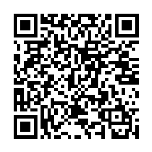 只需要两枚生命种子就可以自动孕育下一代的程度二维码生成