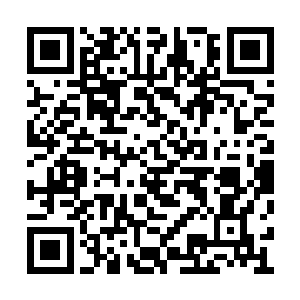 只飞快的检查了一下陌星子露出来的脸庞和双手二维码生成