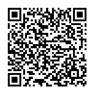 可一飞起来张潇晗就发现范筱梵根本不是按照隐匿印记的方向追踪二维码生成