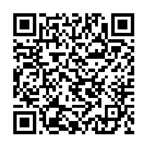 可不是南宫上岚那些人拿出来的小玩意能相提并论的二维码生成