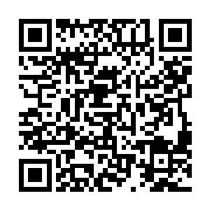 可人家松康松先生却只跟自个儿师父恭恭敬敬地行了个礼二维码生成