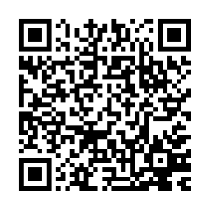 可他想要送给秦洛几身衣服一辆跑车什么的还真不是什么难事二维码生成
