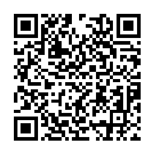 可以一拳把一个战力可以与六星战宗境的强者打飞二维码生成