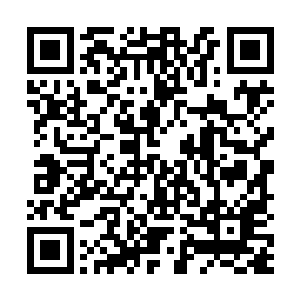 可以咨询卢医生哦~看在白影后和白小姐的面子上二维码生成