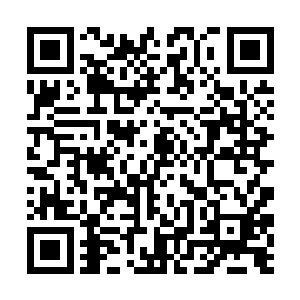 可以清晰地看到巨大珍珠内部佳儿脸上的每一个毛孔二维码生成