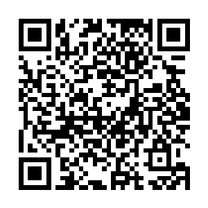 可以精准的推算出历代修真界宗门势力和修士实力排名二维码生成