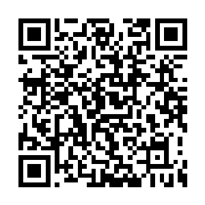 可以让你在这里安静的学习和记住秘籍上的内容二维码生成