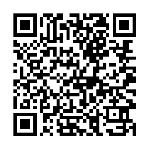 可你的大概实力天族肯定已经从妖姬那里了解到了啊二维码生成