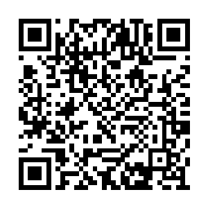 可你知道为什么从来没人见过真正的秘社大公么二维码生成