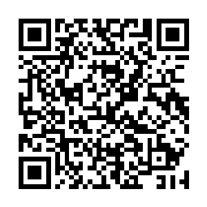 可天庭怕是也要调一批这样的人去屈尊才能镇的住场子二维码生成